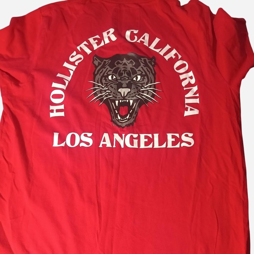 Hollister shirt